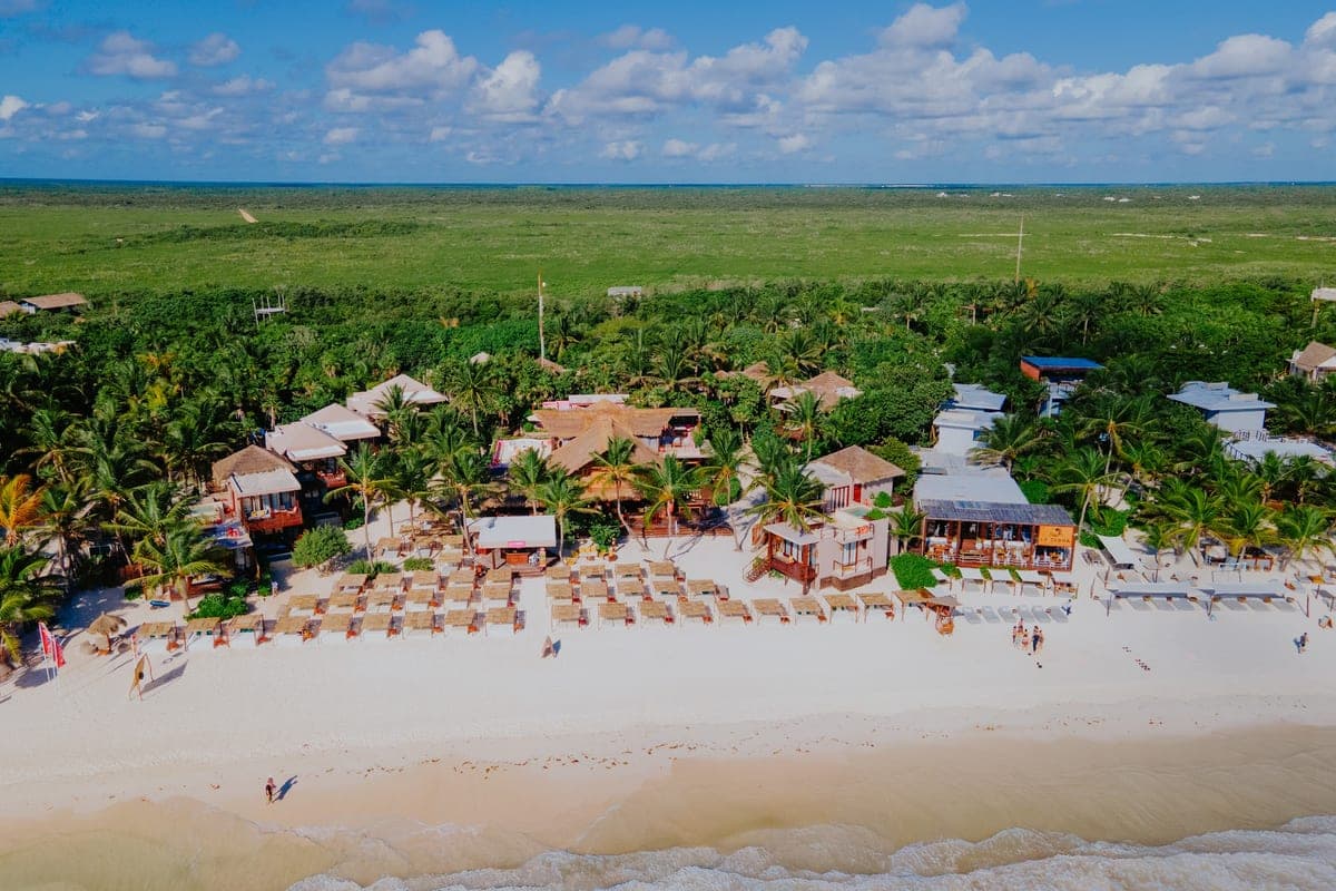 La Zebra · Tulum Restaurant · Gourmet