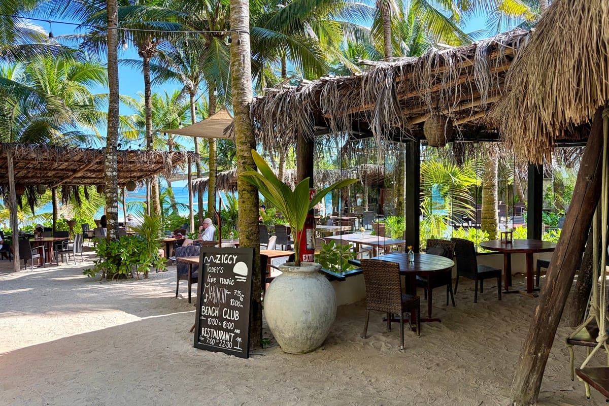 Ziggy's · Tulum Restaurant · Gourmet
