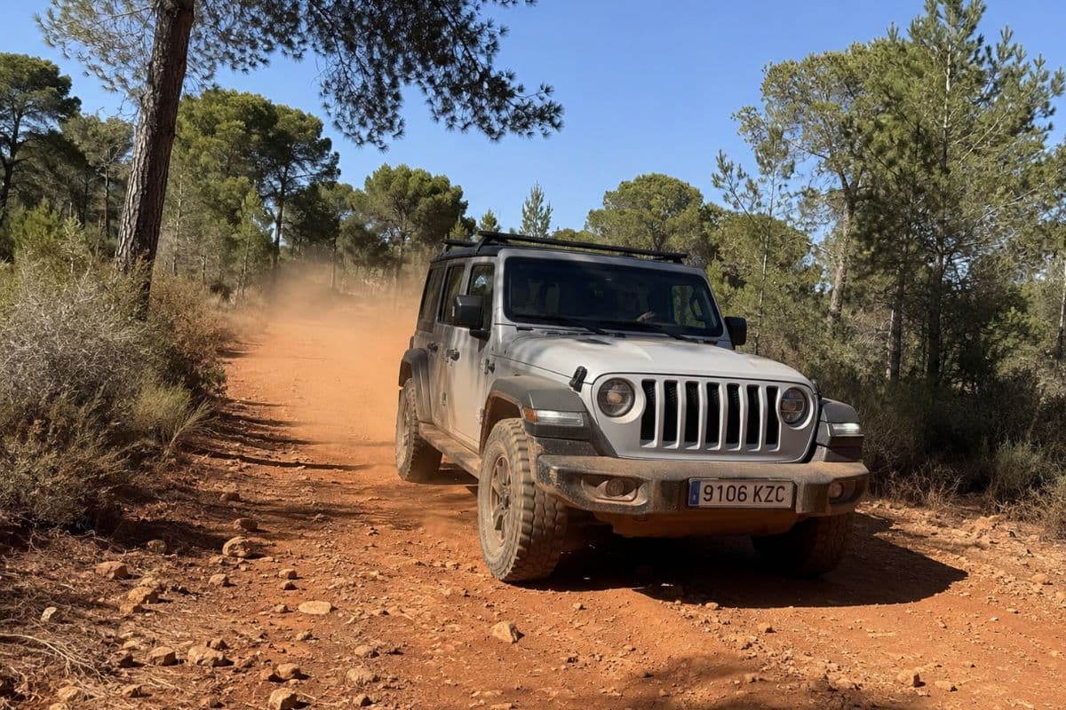 Jeep Tour