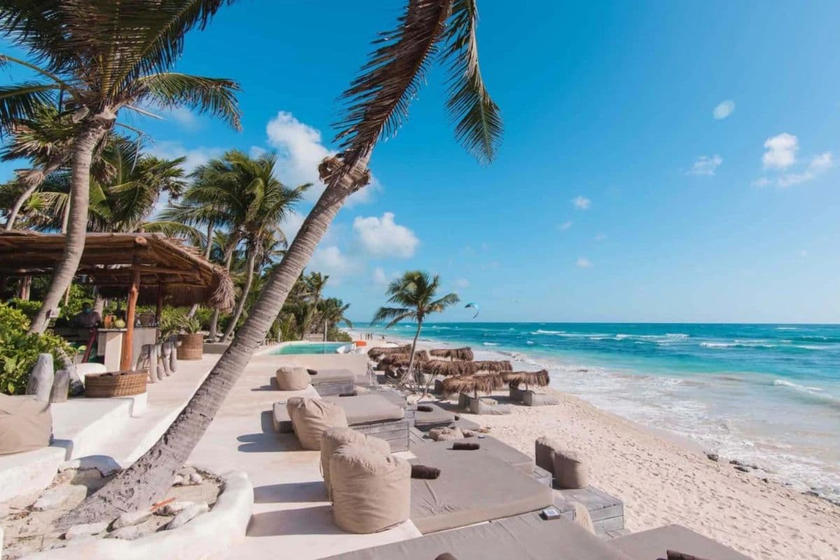 Papaya Playa Project