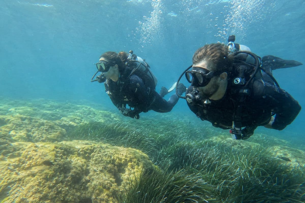 Scuba Dive
