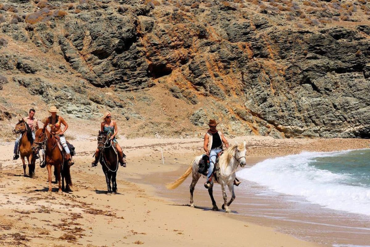 Horse Riding