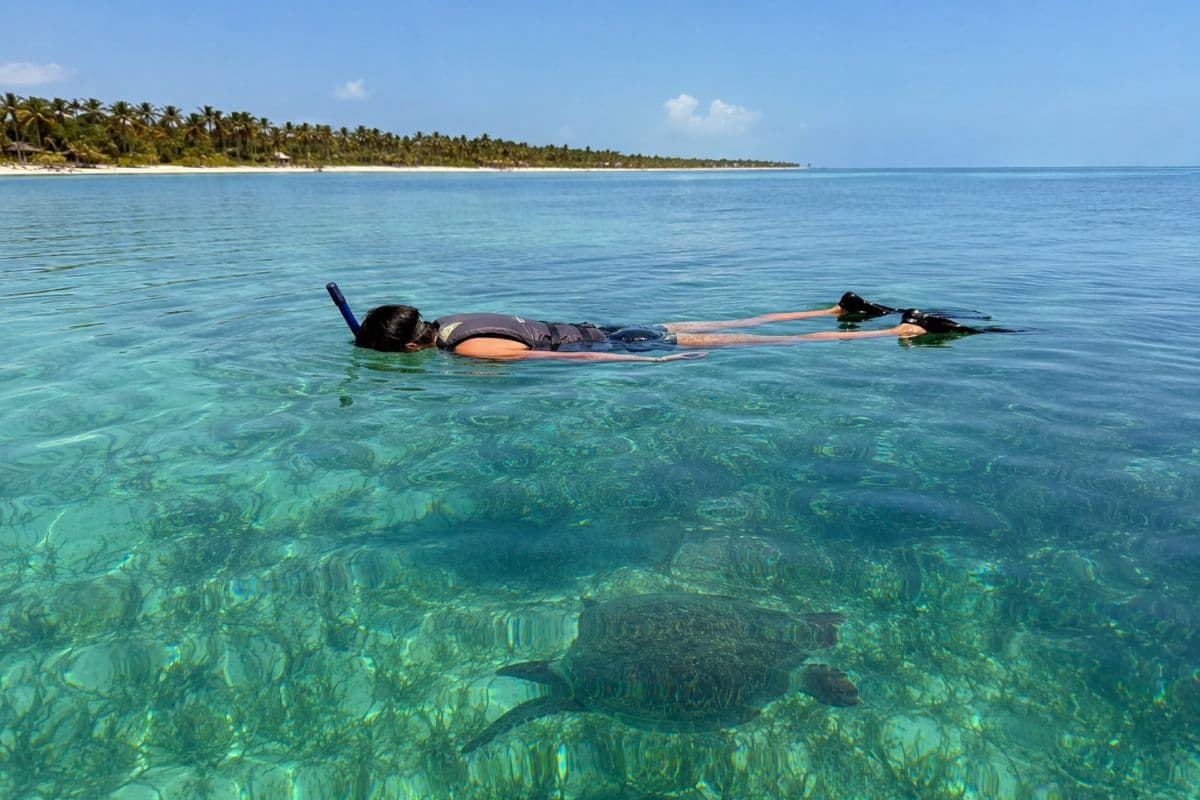 Tulum Bay & Turtles (Private)