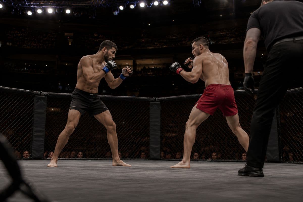 UFC